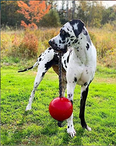 Romp-n-Roll Rope and Ball Dog Toy, 8 Inches/Large, Red (608 RD)
