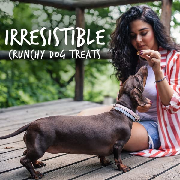 Baked Dog Treats – Pumpkin Treats for Dogs – Healthy Low Calorie Treats – Free of Wheat, Corn and Soy – Pumpkin and Cranberry – 7 Ounces