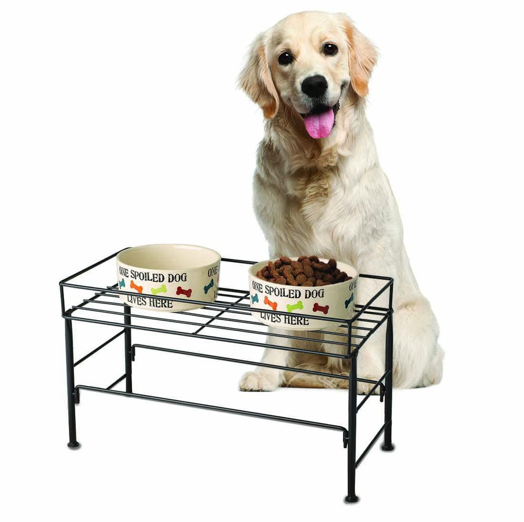 PetRageous 81032 Brady's Set the Table Steel Frame Dog Feeder 10-Inch Tall by 20-Inch Long and 10-Inch Wide, Holds Two 9-Inch Diameter Bowls, for Large Dogs and Extra Large Dogs, Black