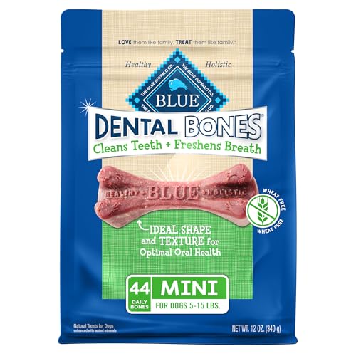 Dental Bones Mini Natural Dental Chew Dog Treats Bag, 12oz. Bag