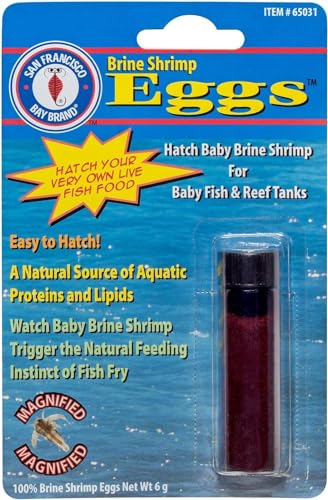 Brine Shrimp Eggs Vial 0.2-Ounces (6 Grams) | Excellent Food Source Baby Aquarium Fish, Freshwater, Reef & Saltwater Marine Tank Hatchery Fry