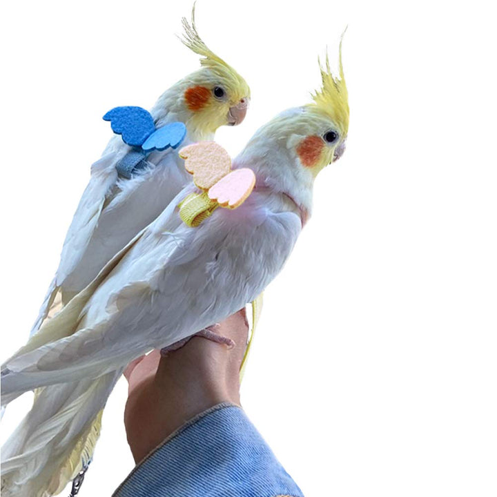 Adjustable Parrot Bird Harness Leash Set Anti-bite Training Harness for Parrots Outdoor Flying Rope for Cockatiel Small Birds Cockatiel Monk Parakeet Conure Crested Myna S (Yellow)
