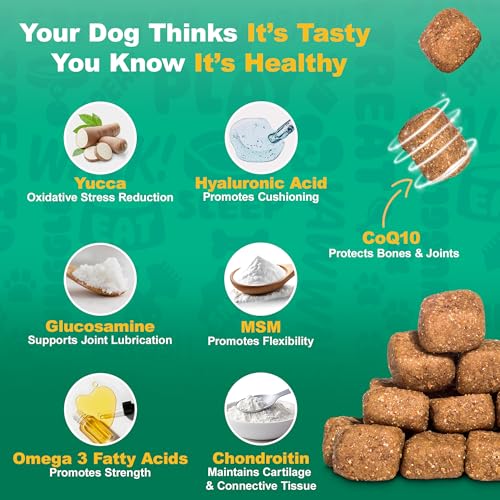 Glucosamine for Dogs - Joint Supplement for Dogs of All Breeds & Sizes - Hip and Joint Supplement for Dogs - Premium Glucosamine and Chondroitin for Dogs (Chicken) 225 Chews