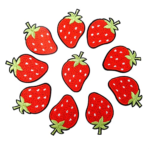 10pcs Funny Red Strawberry Appliques Decorative Patches Embroidered DIY Sew on/Iron on Patches for Shirts, Coats, Jackets, Backpacks, Hats, Jeans