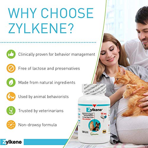 Zylkene Calming Support Supplement for Small Dogs and Cats, Helps Promote Relaxation and Reduce External Stress Factors, Daily Behavioral Support and Anxiety Relief for Dogs and Cats, 75mg