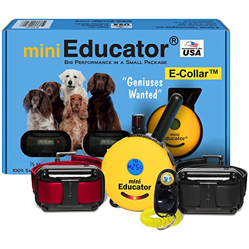 Mini ET-302-1/2 Mile Rechargeable Dog Trainer Ecollar with Remote for Small, Medium, and Large Dogs by E-Collar Technologies - Electric, Vibration, Tone, and Stimulation Collar