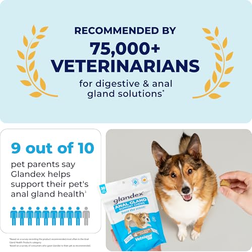 Labs Glandex Anal Gland Soft Chew Treats with Pumpkin for Dogs Digestive Enzymes, Probiotics Fiber Supplement for Dogs Boot The Scoot (Peanut Butter Chews, 60 Count)