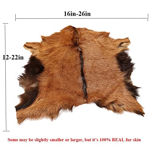 2PCS Real Goatskin Hide Fur Pelts Goat Skin Leather Goat Hide Home Decor Design Hunting Ornament Floor Wall Exhibit Display for DIY Clothing Sheepskin Fur Rug Exotic (Approx 21x15in)