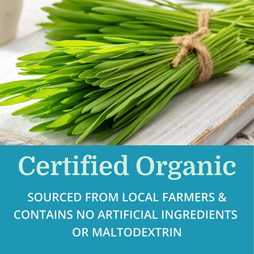 Alka•Green Tablets Best Process Alkaline — Nutrient Dense Organic Barley Grass Supplement — Natural Source of Enzymes & Amino Acids