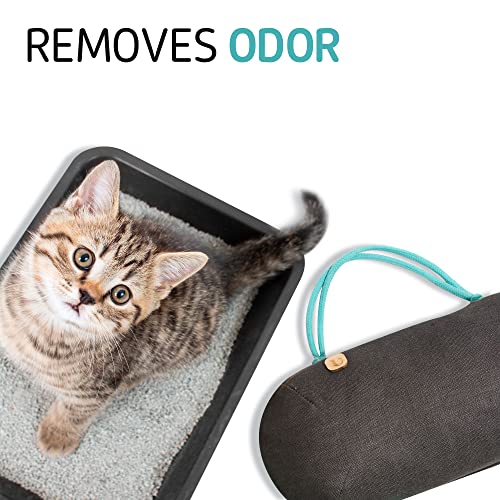 Car Air Freshener - Lasts 365+ Days No Chemicals 100% Activated Bamboo Charcoal Fragrance-Free Deodorizer, Natural Auto Odor Eliminator, Purifier, Neutralizer, Absorb Smoke Smell