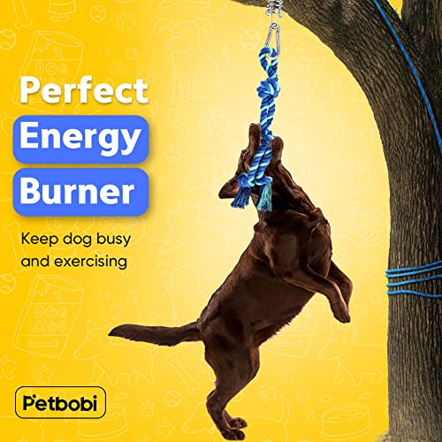 Bungee Dog Toy, Tether Tug Outdoor Dog Toy for Pitbull Interactive & Exercise, Spring Pole Tether Tug of War Toy with Durable Rope, Outdoor Hanging Toys for Large Dogs Reduce Boredom, Blue