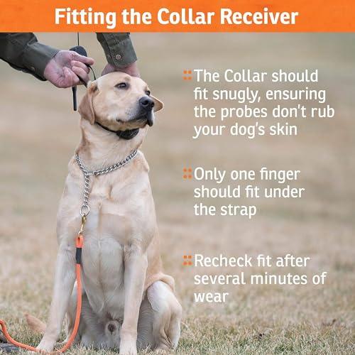 Brand FieldTrainer 425X/SportHunter 825 Add-A-Dog Collar, Remote Training Collar, Hunting Dog Collar - Waterproof and Rechargeable with Tone, Vibration, and Shock (Orange)