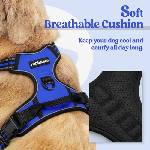 Dog Harness No Pull with 2 Leash Clips, Adjustable Soft Padded, Reflective Oxford No Choke Pet Vest with Easy Control Handle for Large Dogs, Dazzling Blue, L