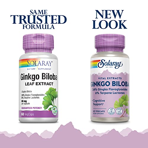 Ginkgo Biloba Extract, 60mg | 60 Count