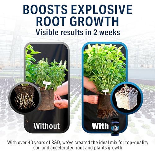 Great White Mycorrhizal Fungi 9-Strain 387 Spores/gram, 6 Million CFU/gram Bacteria, 2-Strains Trichoderma, Root Stimulator, Treats 4,000 Plants, Concentrated 3-in-1 Formula