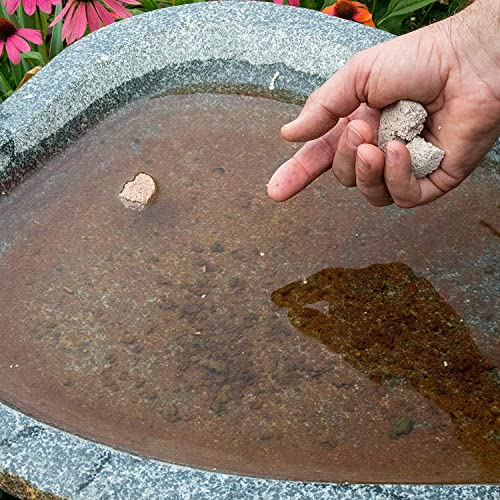 Mosquito Dunks 102-12 Mosquito Killer for Bird,Fish, 2 Pack