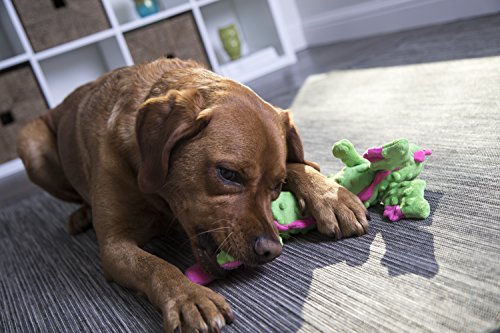 Bubble Plush Skinny Dragons Squeaky Plush Dog Toy, Chew Guard Technology - Green, Large