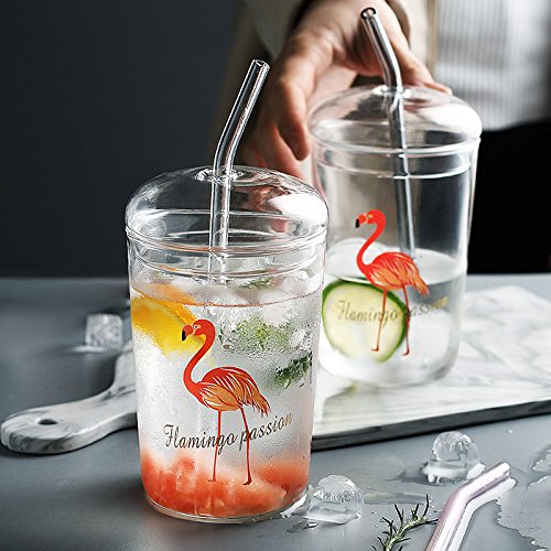 Glass Smoothie Straws, 10 x 10 mm Long Reusable Clear Drinking Straws, Pack of 8 with 2 Cleaning Brush,