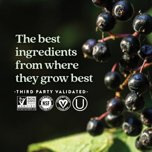 Vegan Elderberry Capsules with 64x Concentrated Black Elderberry + Black Currant for Comprehensive Immune Support, Non-GMO Project Verified, Gluten Free, Certified Vegan, 30 Count