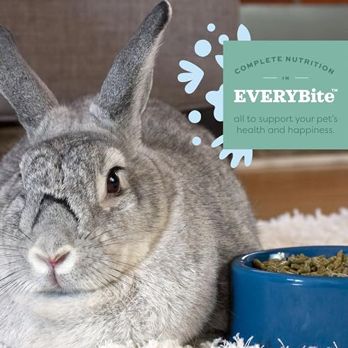 Essentials Rabbit Food, Young Rabbit, Made with Alfalfa Hay, Pet Food Pellets with Vitamins & Minerals, Small Animal Pet Products, Bunny Supplies, Made in USA, High Fiber, 5 lb. bag