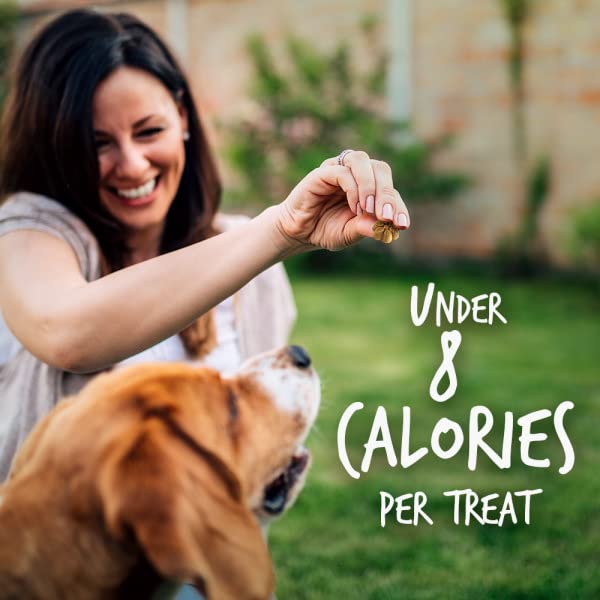 Baked Dog Treats – Pumpkin Treats for Dogs – Healthy Low Calorie Treats – Free of Wheat, Corn and Soy – Pumpkin and Cranberry – 7 Ounces