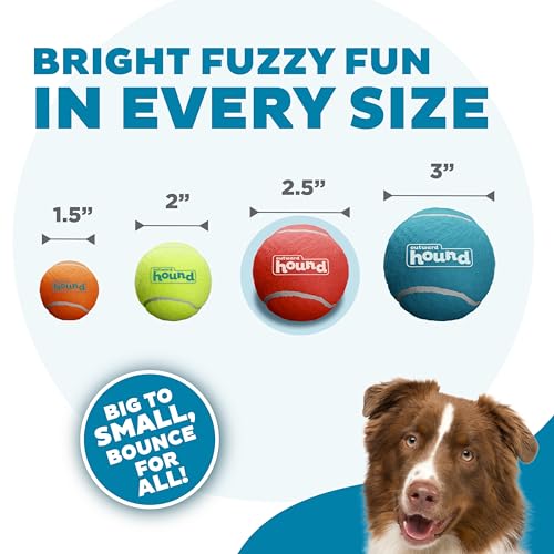 Squeaker Ballz Fetch Dog Toy, Medium - 4 Pack