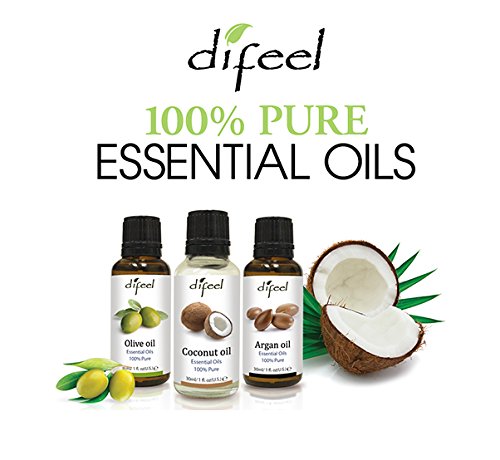Essential Olive Oil, 1 Fluid Ounce