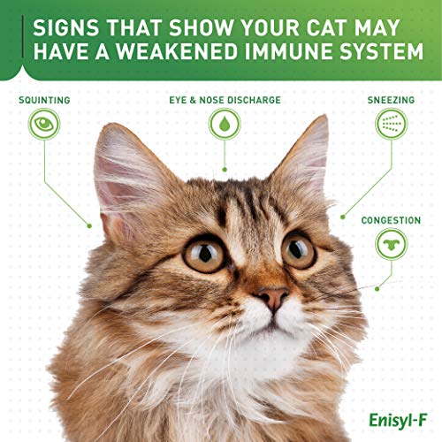 Enisyl-F Lysine Bites: L-Lysine Chews for Cats & Kittens - Chicken Liver-Flavor, 6.4oz (180g) Recloseable Bag