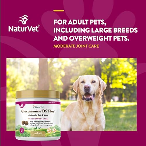 – Glucosamine DS Plus - Level 2 Moderate Care – Supports Healthy Hip & Joint Function – Enhanced with Glucosamine, MSM & Chondroitin – for Dogs & Cats–120 Soft Chews