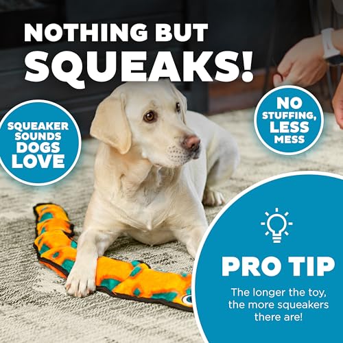 Durablez Tough Plush Squeaky Dog Toy, Snake, Orange, XL