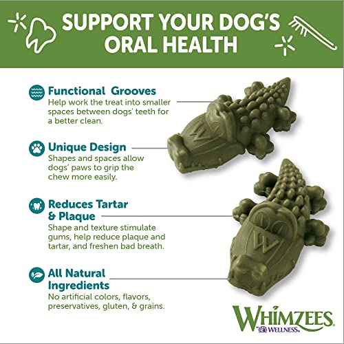 Wellness Alligator Dog Dental Treats, Natural Chews, Large Size, (6 Count)