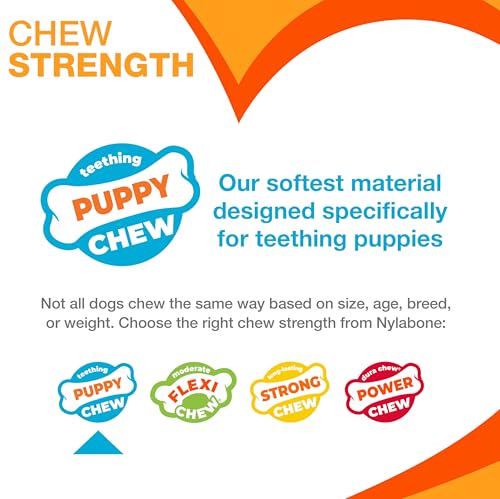 Puppy Chew Teething Bone, Toys for Teething Puppies, Chicken Flavor, Medium, Up to 35 Ibs, 1 Count