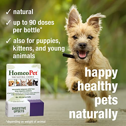 Digestive Upsets, Natural Pet Digestive Support, Digestive Supplement for Dogs, Cats, and Small Pets, 15 Milliliters