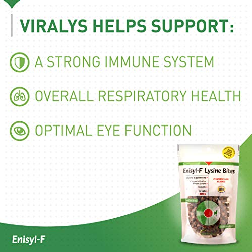 Enisyl-F Lysine Bites: L-Lysine Chews for Cats & Kittens - Chicken Liver-Flavor, 6.4oz (180g) Recloseable Bag