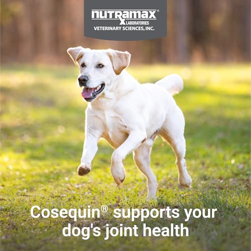 Cosequin Maximum Strength Joint Health Supplement for Dogs - With Glucosamine, Chondroitin, and MSM, 132 Chewable Tablets