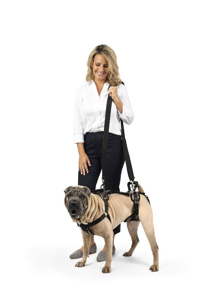 CareLift Support Harness - Full Body Lifting Aid with Handle - Great for Pet Mobility and Older Dogs - Comfortable, Breathable Material - Easy to Adjust, Medium