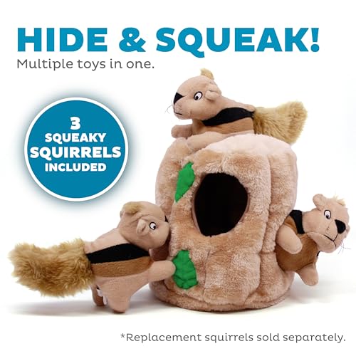 Hide A Squirrel Plush Dog Toy Puzzle, Large
