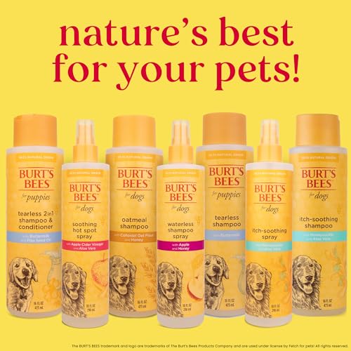 Burt's Bees for Pets Oatmeal Dog Shampoo with Colloidal Oat Flour and Honey, 95% Natural Origin Formulas, Shampoo for Dogs - Gentle Dog Shampoo, Best Dog Shampoo, 16 oz