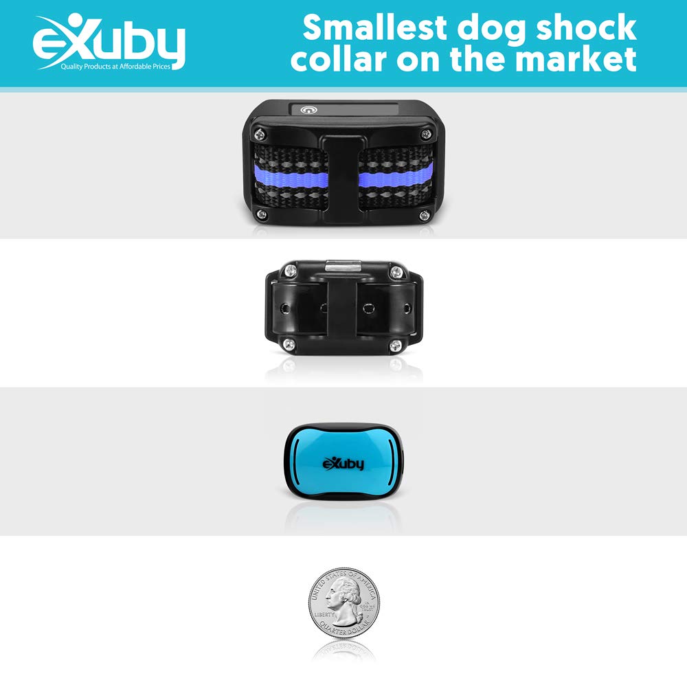 - Tiny Shock Collar for Small Dogs 5-15lbs - Smallest Collar on The Market - Sound, Vibration, & Shock - 9 Intensity Levels - Pocket-Size Remote - Long Battery Life - Water-Resistant (Teal)