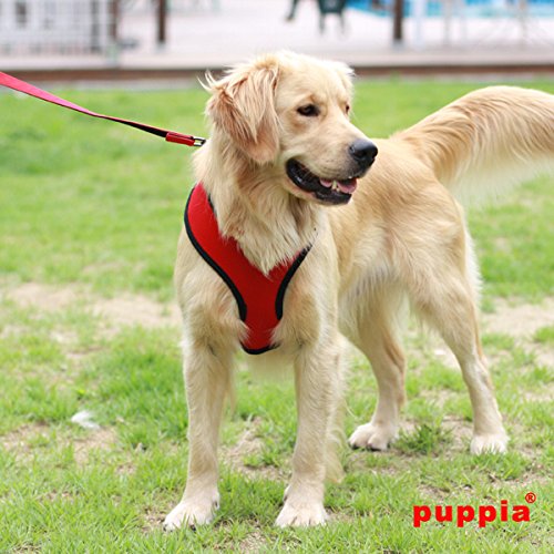Soft Dog Harness No Choke Over-The-Head Triple Layered Breathable Mesh Adjustable Chest Belt and Quick-Release Buckle, Red, Small