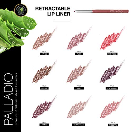 Retractable Waterproof Lip Liner High Pigmented and Creamy Color Slim Twist Up Smudge Proof Formula with Long Lasting All Day Wear No Sharpener Required, Black Berry