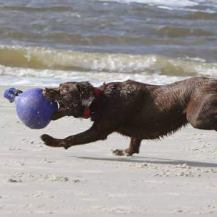 Dog 10-Inch Tug-n-Toss, Blue