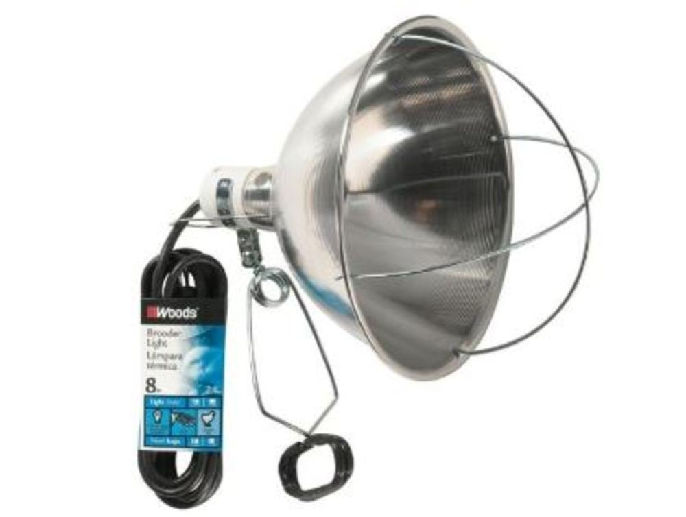 0167 167 Brooder Clamp Lamp with Bulb Guard, 10.5 Inch, 0