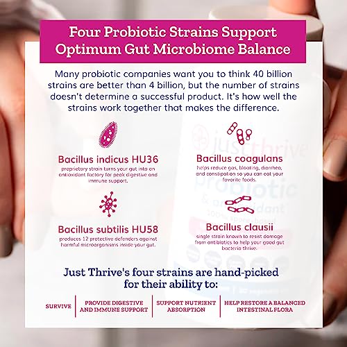 Probiotic & Antioxidant Supplement - 100% Spore-Based Digestive and Immune Support - Gluten Free, 30 Caps