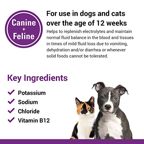 Pet-A-Lyte Oral Electrolyte Solution for Dogs and Cats – Helps Replace Fluids Lost from Pet Dehydration, Diarrhea, Vomiting – Replaces Dog Electrolytes – 32 Oz.