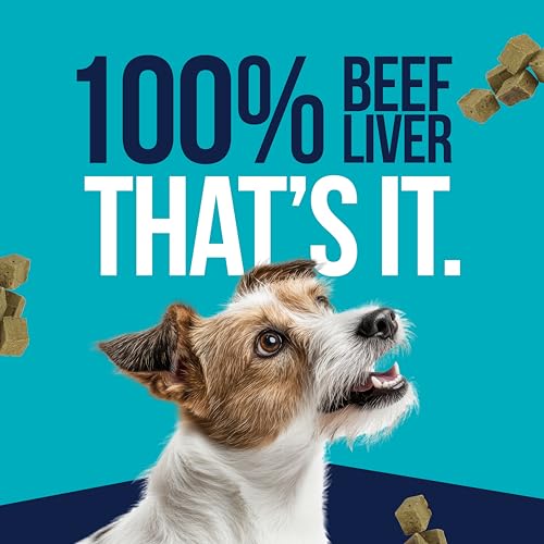Freeze Dried Beef Liver (2 oz)