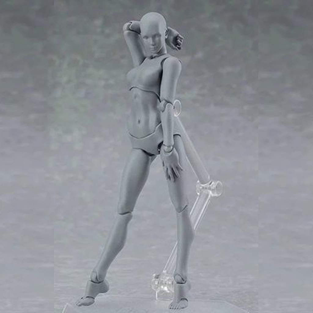 Body Kun Doll, Artists Manikin Blockhead Jointed Mannequin Drawing Figures for Figure Model Male+Female Set (Gray)