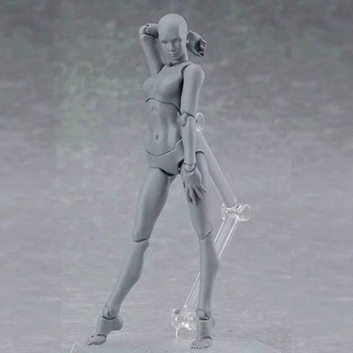 Body Kun Doll, Artists Manikin Blockhead Jointed Mannequin Drawing Figures for Figure Model Male+Female Set (Gray)