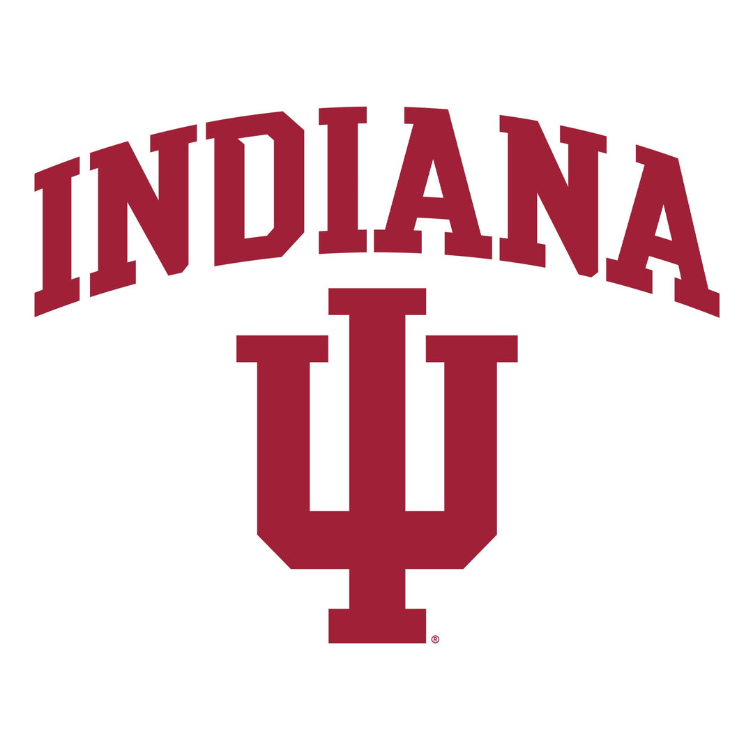 AS03 - Indiana Hoosiers Arch Logo T-Shirt - Large - White