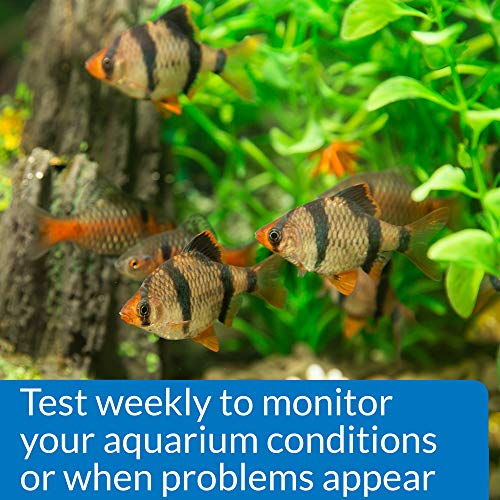 Phosphate Test Kit For Freshwater And Saltwater, 64 OUNCES